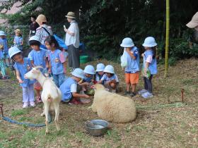 ふれあい動物園のお知らせ(10/7実施)
